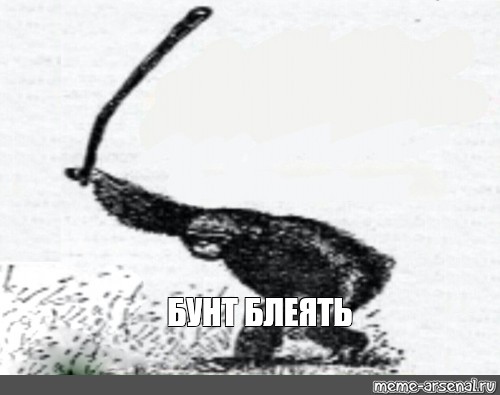 Обезьян взбунтовался