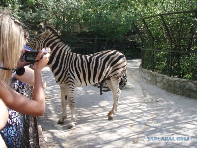 Впервые в Крыму
