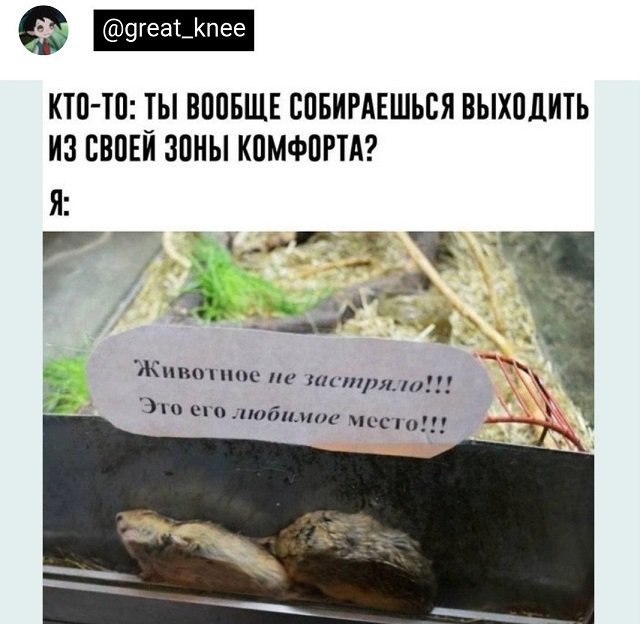 Прикольные и просто красивые картинки 04.11.2022