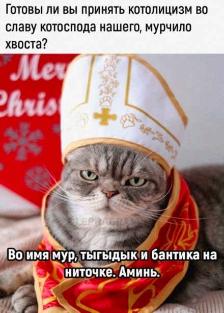 Скриншоты и комментарии из социальных сетей 28.12.22