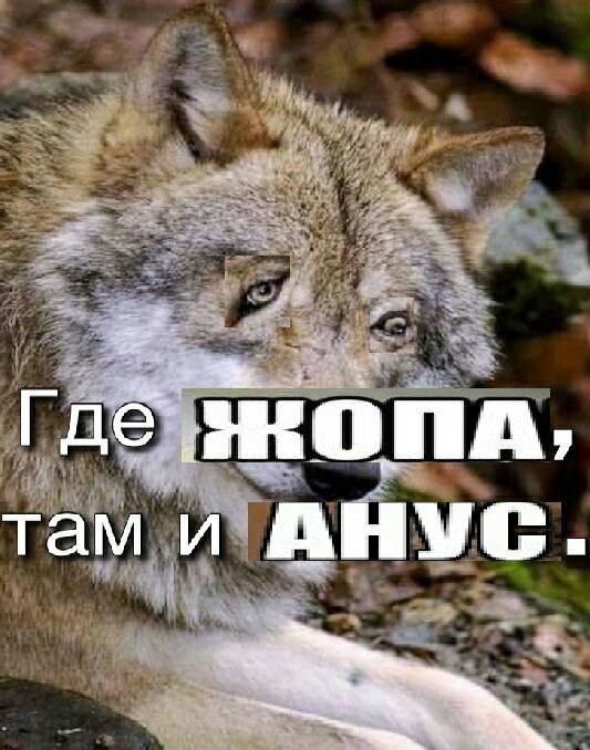 Всего понемногу. Часть 2.