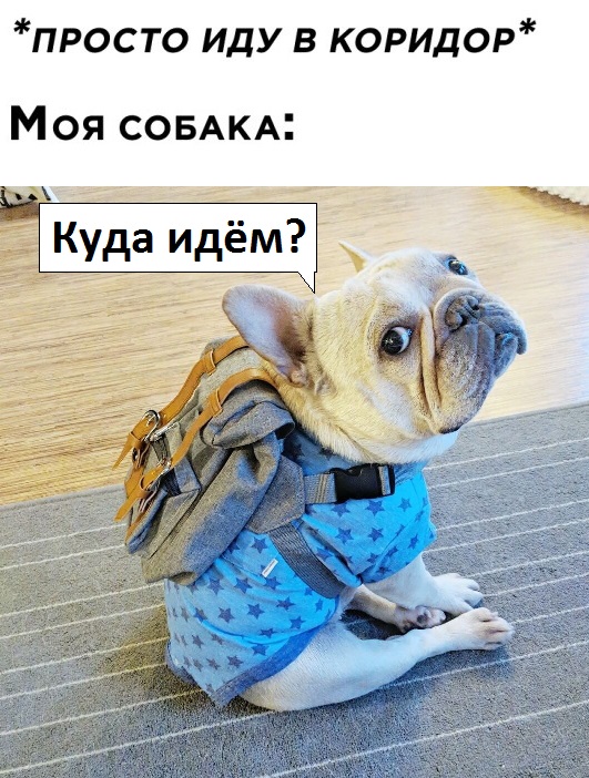 Прикольные баяны