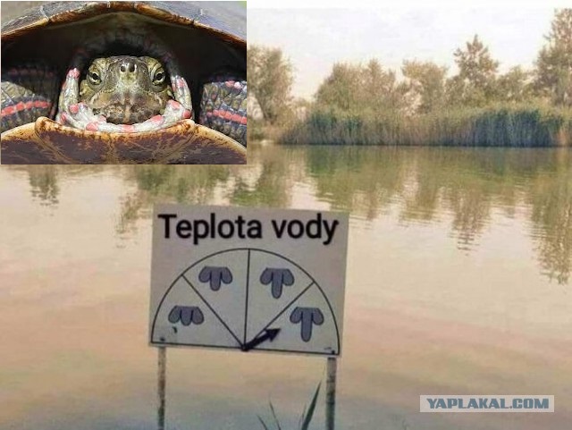 Нуштош 04.02.2023