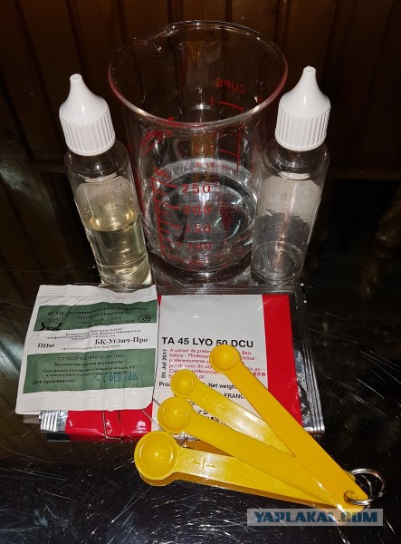 Сыр Маасдам