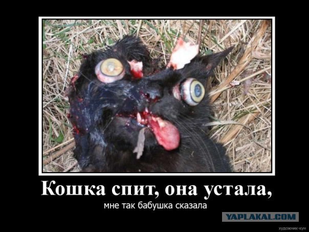 Жесткий юмор