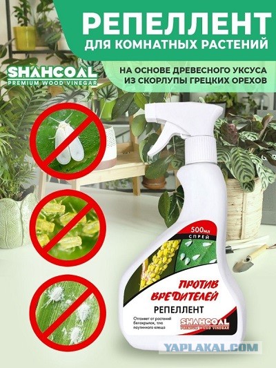 Ушло поколение нормальных женщин