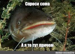 Женская верность: миф или реальность?