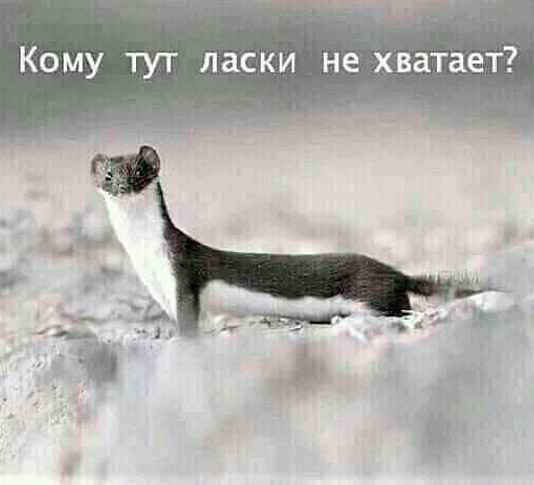 Так себе картинки 09.08.23