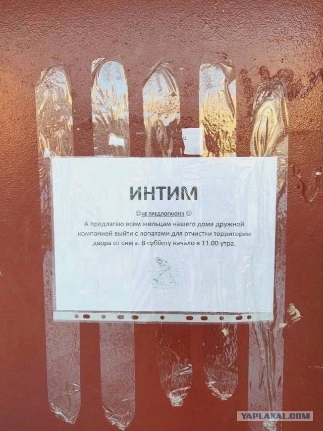 Так себе картинки 21.05.24