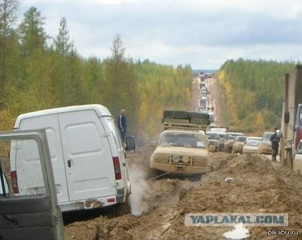 Гениальное решение для труднопроходимых мест