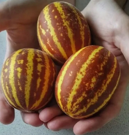 Армянский манго