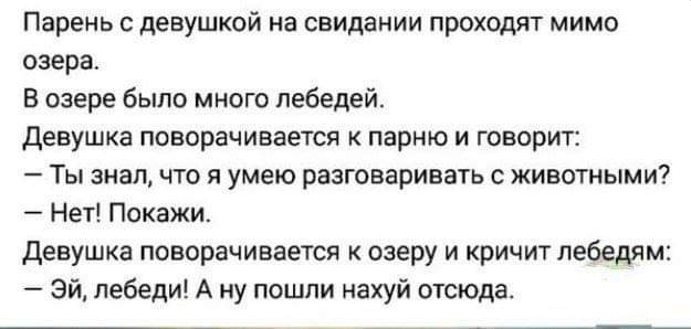 Баяны с распродажи
