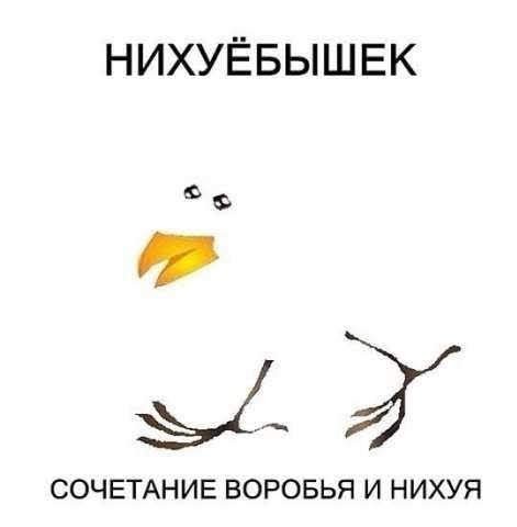 Завалялось тут случайно немного забавных картинок