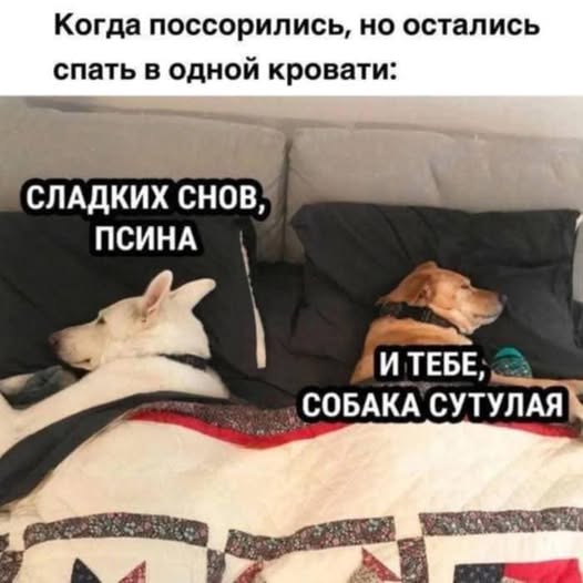 Картинки разные с надписями и без