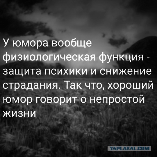 Картинки 23.04.25