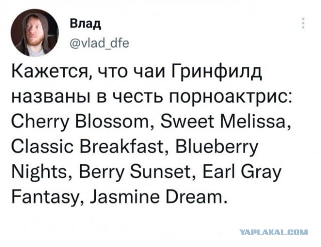 Порноактриса Sweetie Fox из Екатеринбурга взяла ежегодную премию PornHub Awards