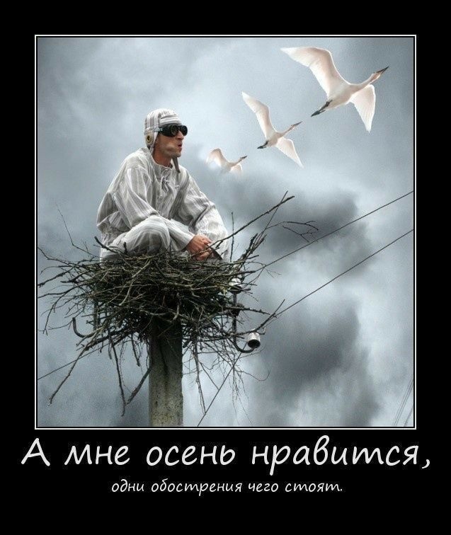 День психического здоровья