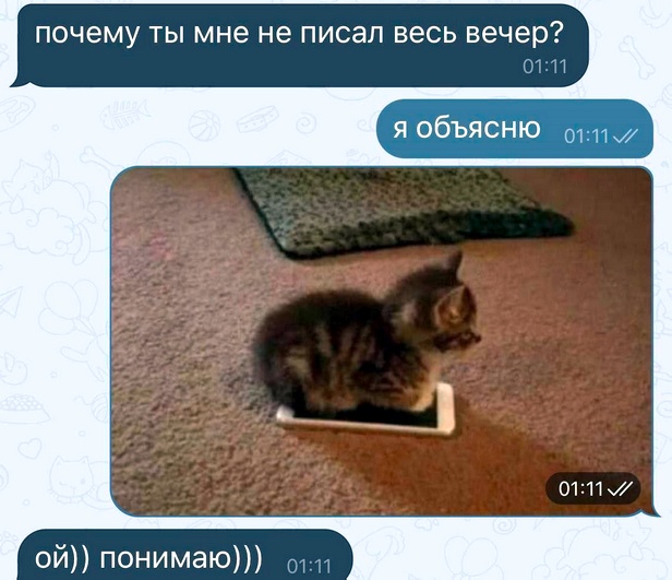 Так себе картинки 14.11.25