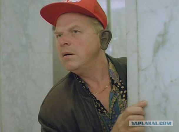 Россияне смогут бесплатно пересадить себе органы свиней — услуга будет доступна по ОМС.