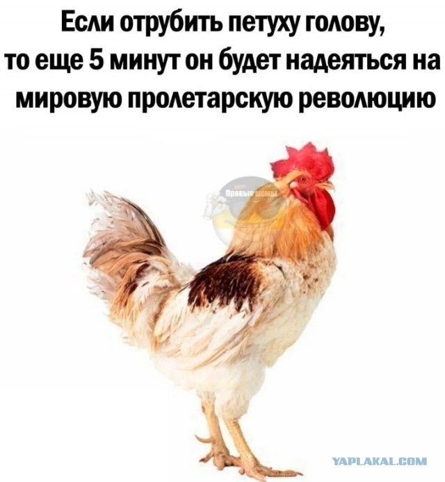 *зачёркнуто*