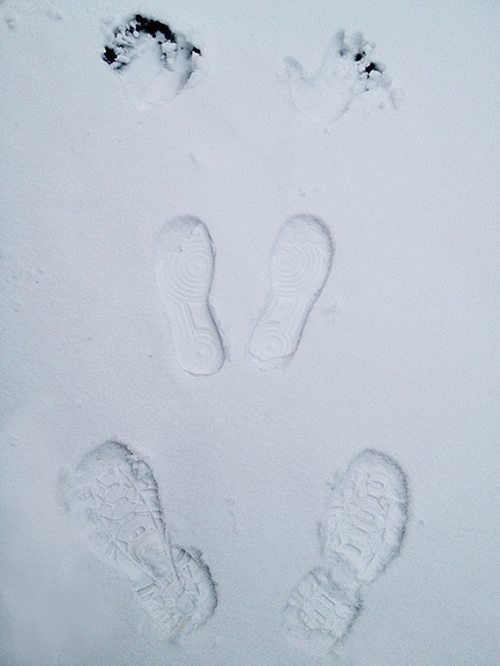 Снежный ангел