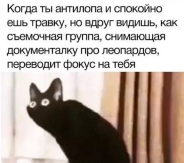 Картинки для деградации 165 (разной степени свежести)