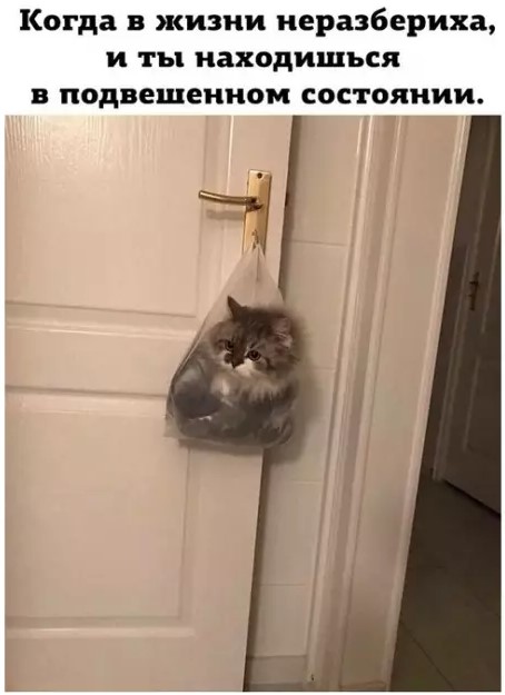 Картиночки, баянчики 27 марта
