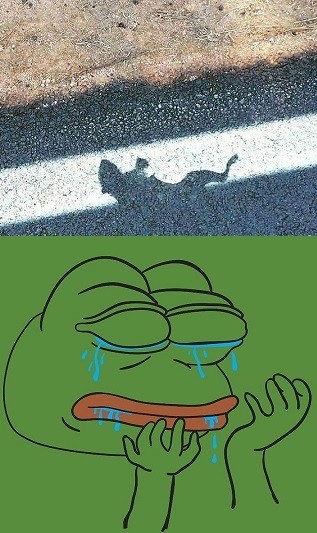 Веселое настроение в картинках (27.04.2026)