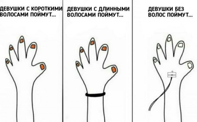 Картинки новые и старые, баяны и аккордеоны