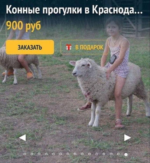 Картинки всякие разные невпопад 1.6