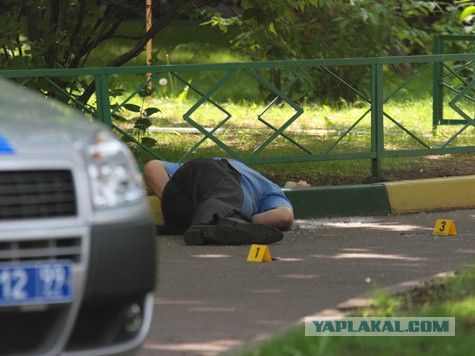 Про Украинских "фошЫстов"