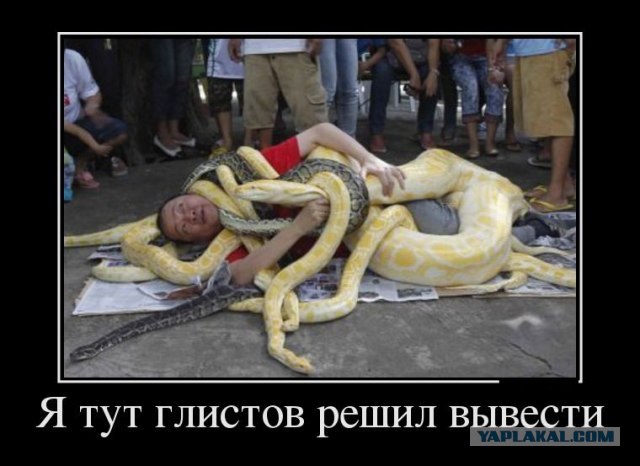 Демотиваторы.