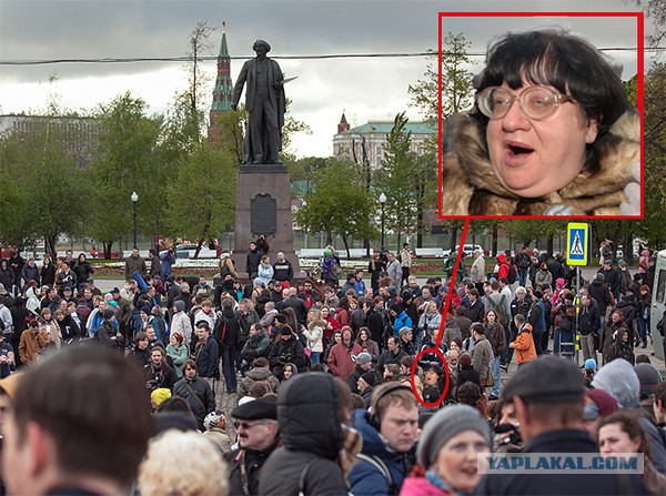 Болотка уже не та...