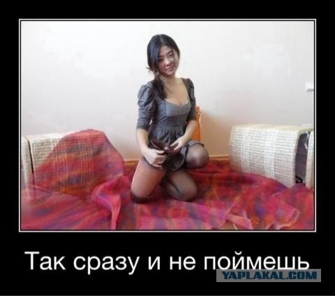Как они туда попали?