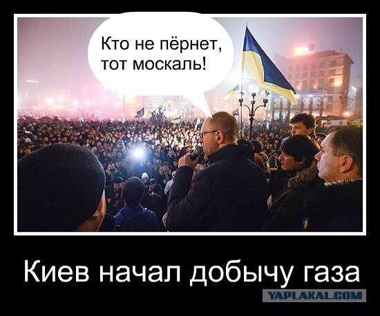 Остались еще нормальные,говорите?