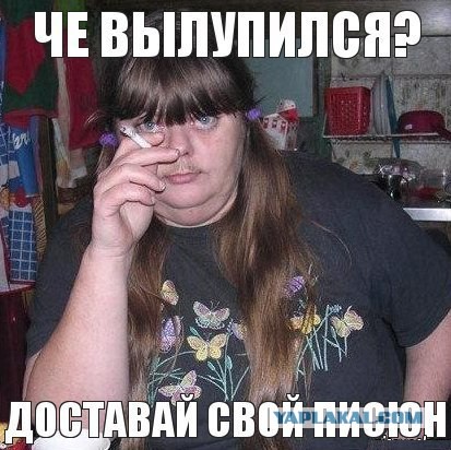 Попутчица (18+)