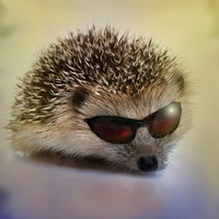 Чёрт, чёрт, чёрт!