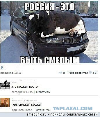 Очередная подборка коментов