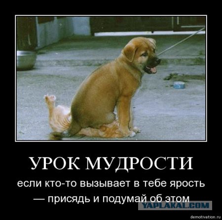 Немного позитива на пятницу