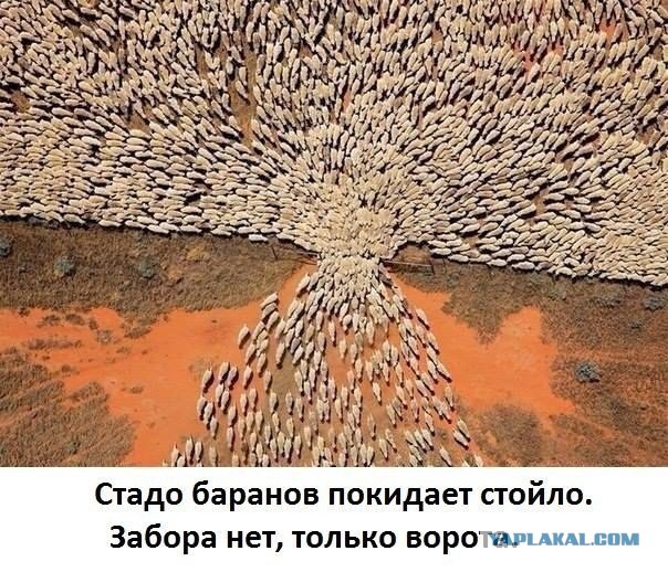 Как выглядит бесполезность