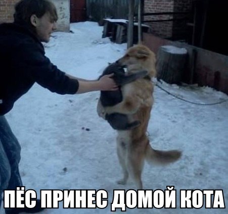 Немного картинок и юмора