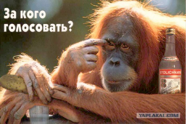 Человек года, Украина