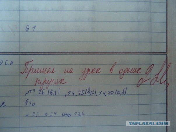 Записи в Дневниках