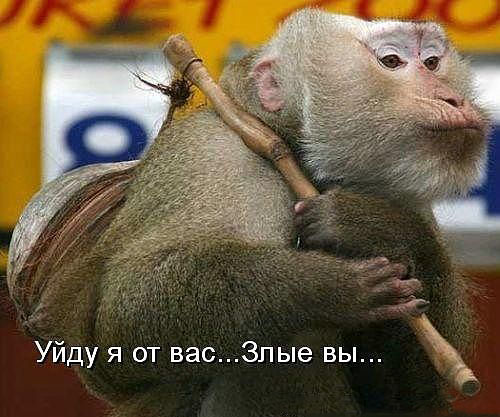 Недолет