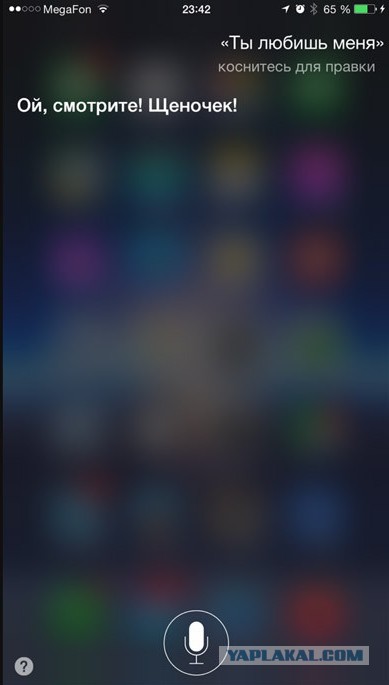 Русская Siri - испытание от соотечественников