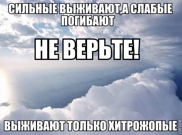 Картинки с буквами