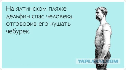 Чебурек останавливает пули