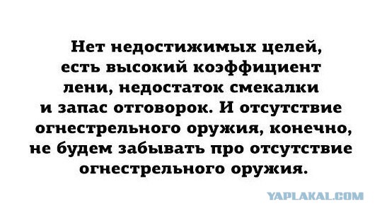 Картинки, текст и даже есть фигня
