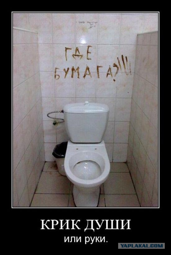 Когда освежитель уже знаешь наизусть