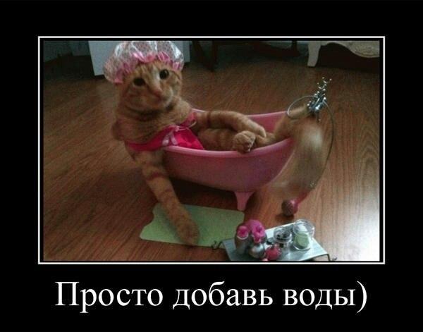 Картинки на пятницу